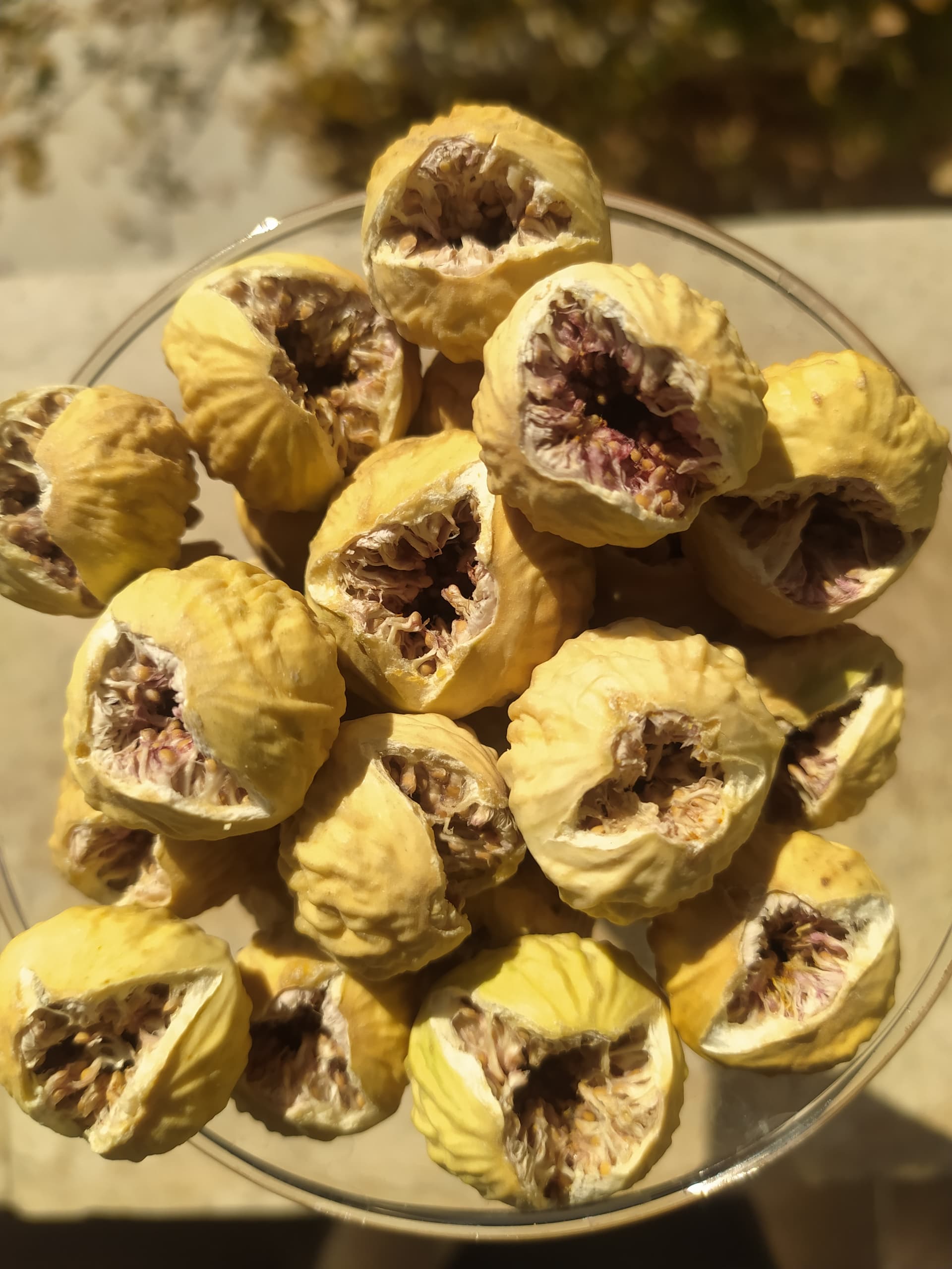 خرید بهترین انجیر رسیده استهبان از باغدار + فروش استثنایی